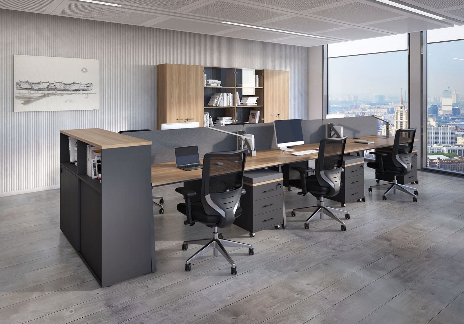 Мебель EVOLUTION