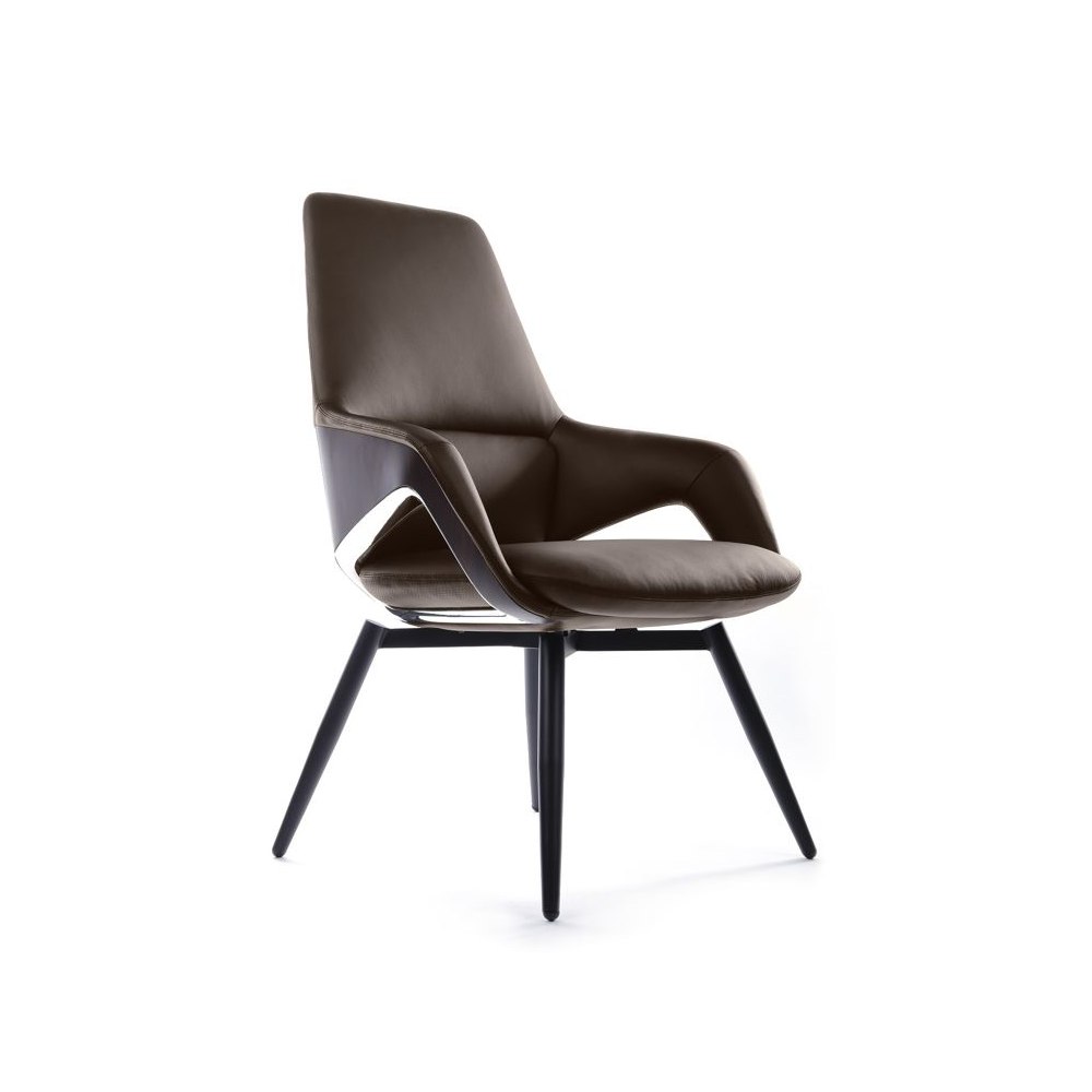 ТЕМНО-КОРИЧНЕВЫЙ