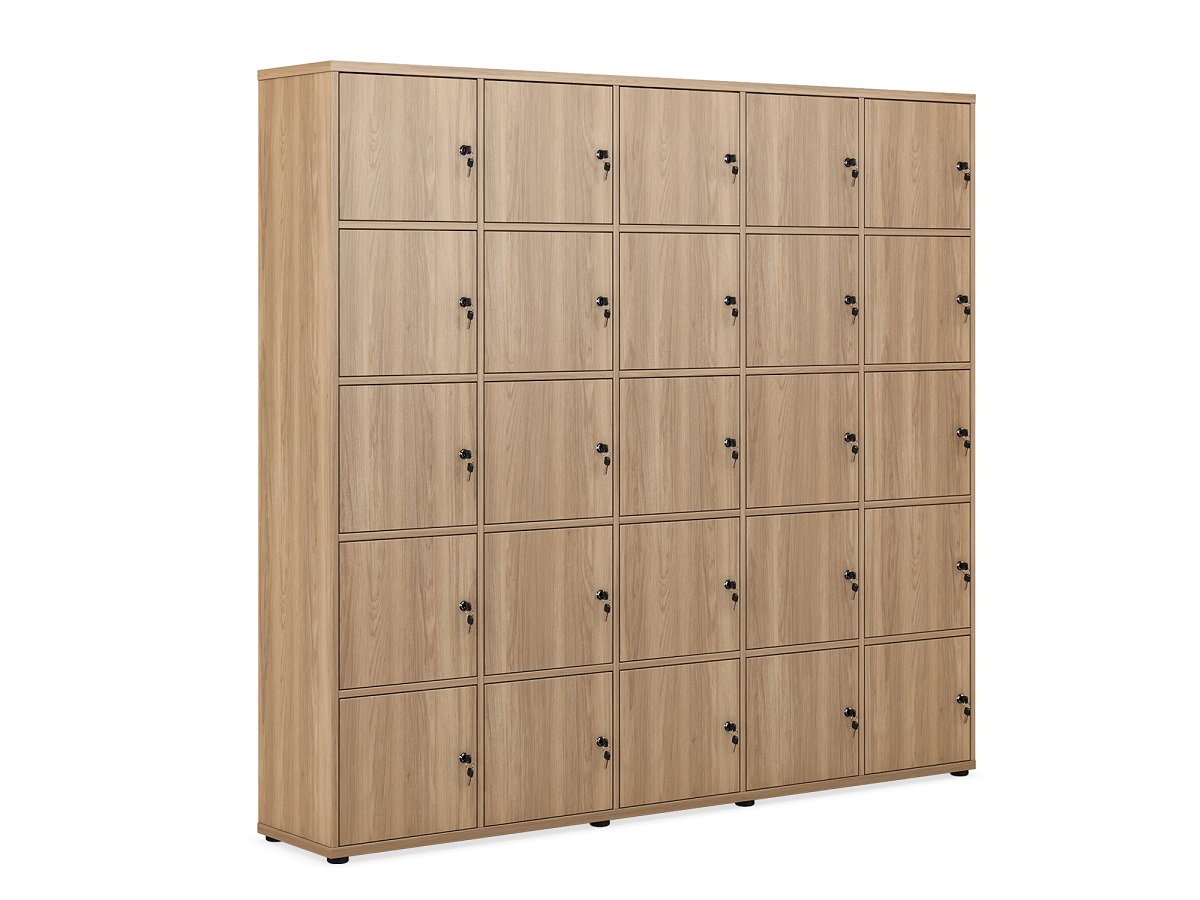 Локер на 25 ячеек (5х5 дверей) EVL436