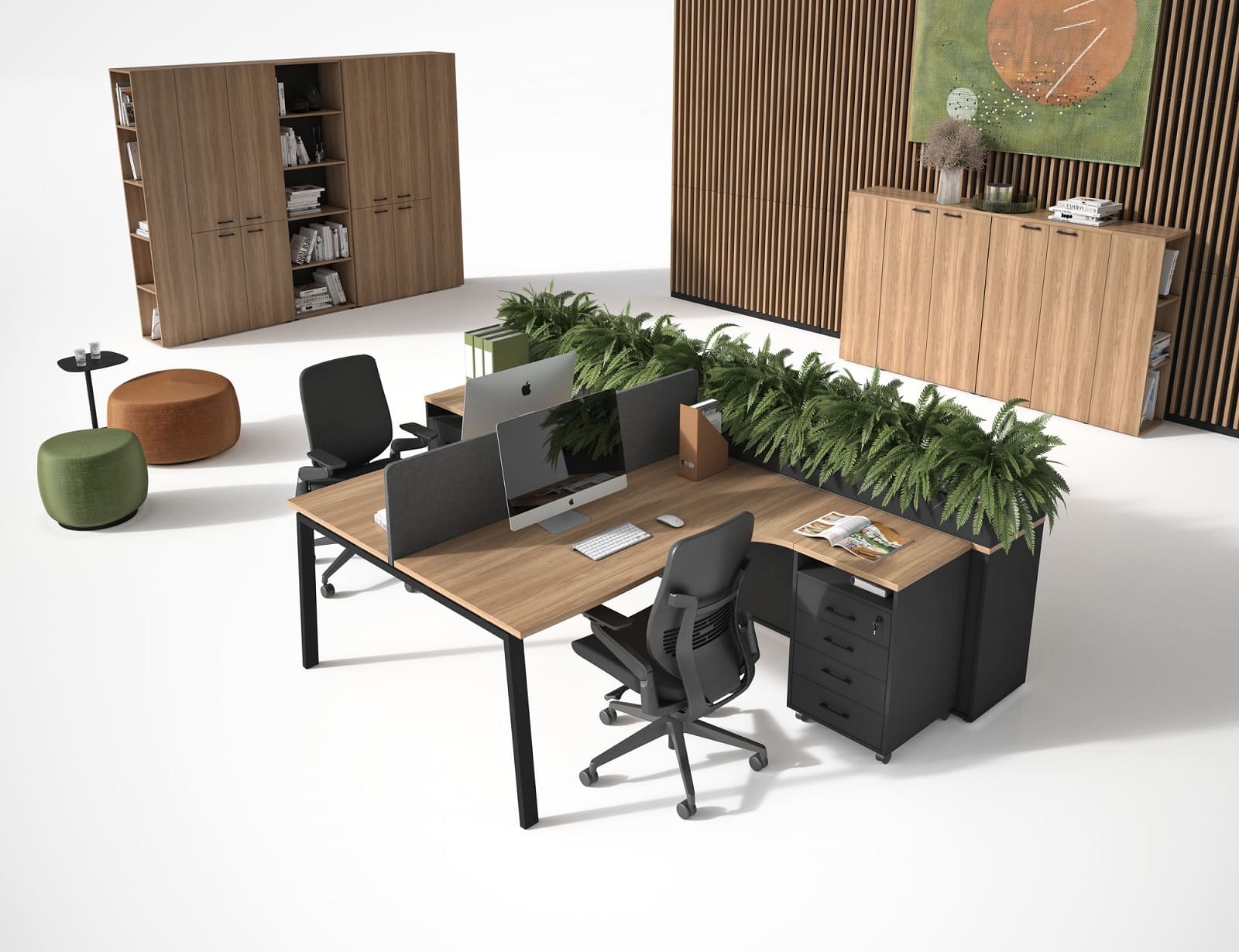 Мебель EVOLUTION