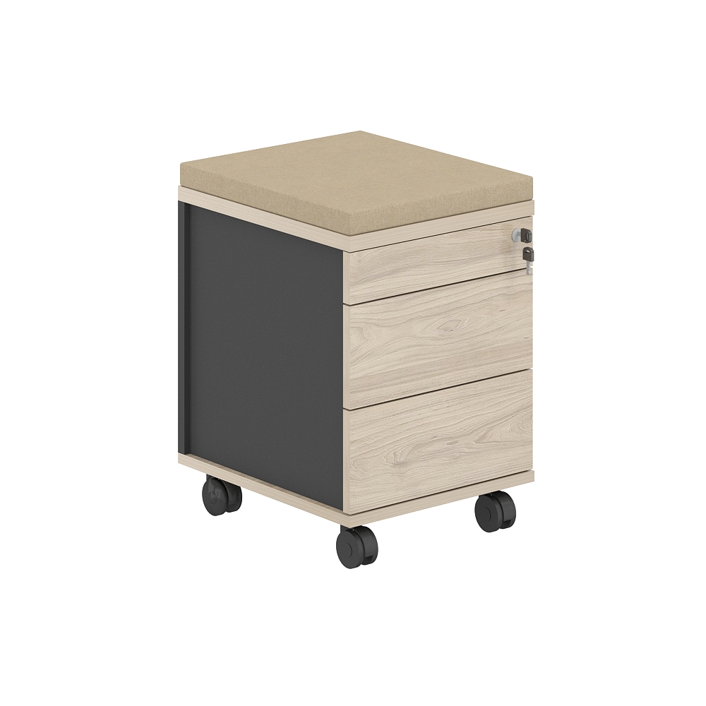 Тумба мобильная 2 ящ. метаб.+лот.ящ.+подушка AG.274.AN.AR.AR