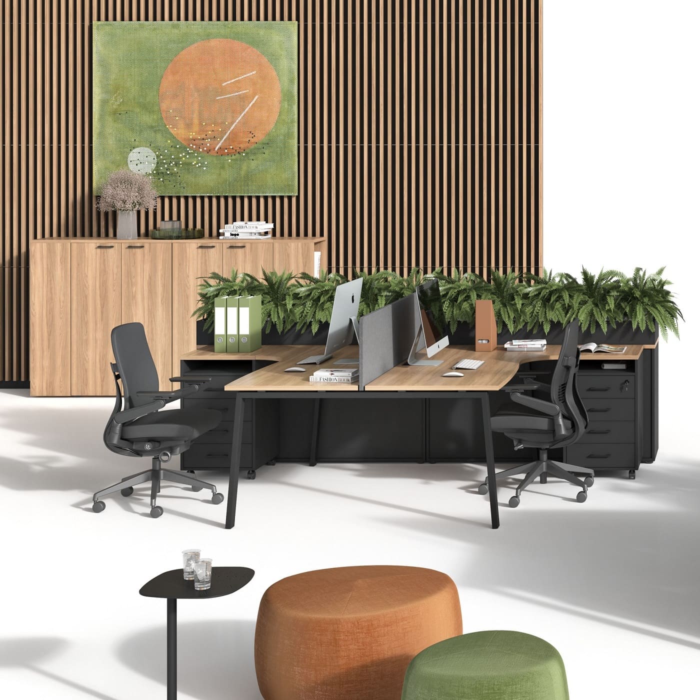 Мебель EVOLUTION