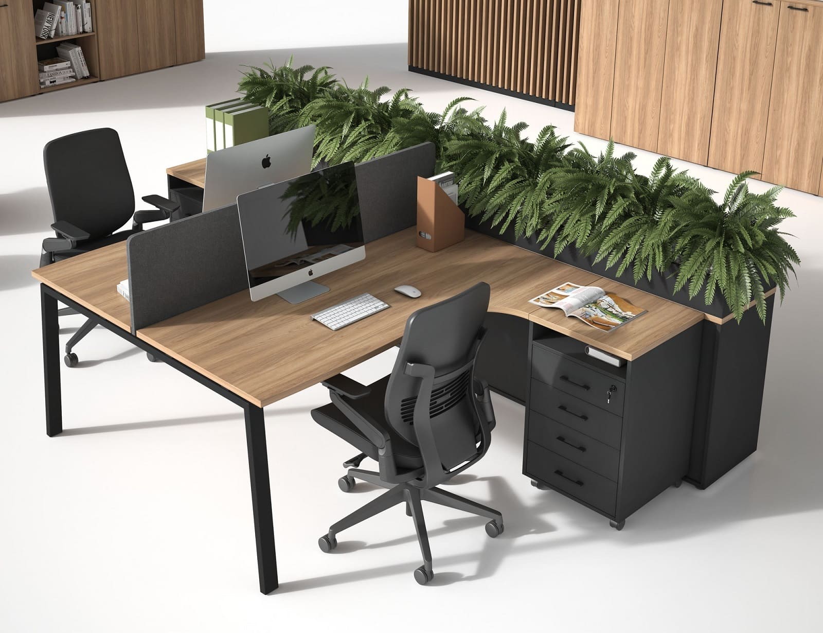 Мебель EVOLUTION