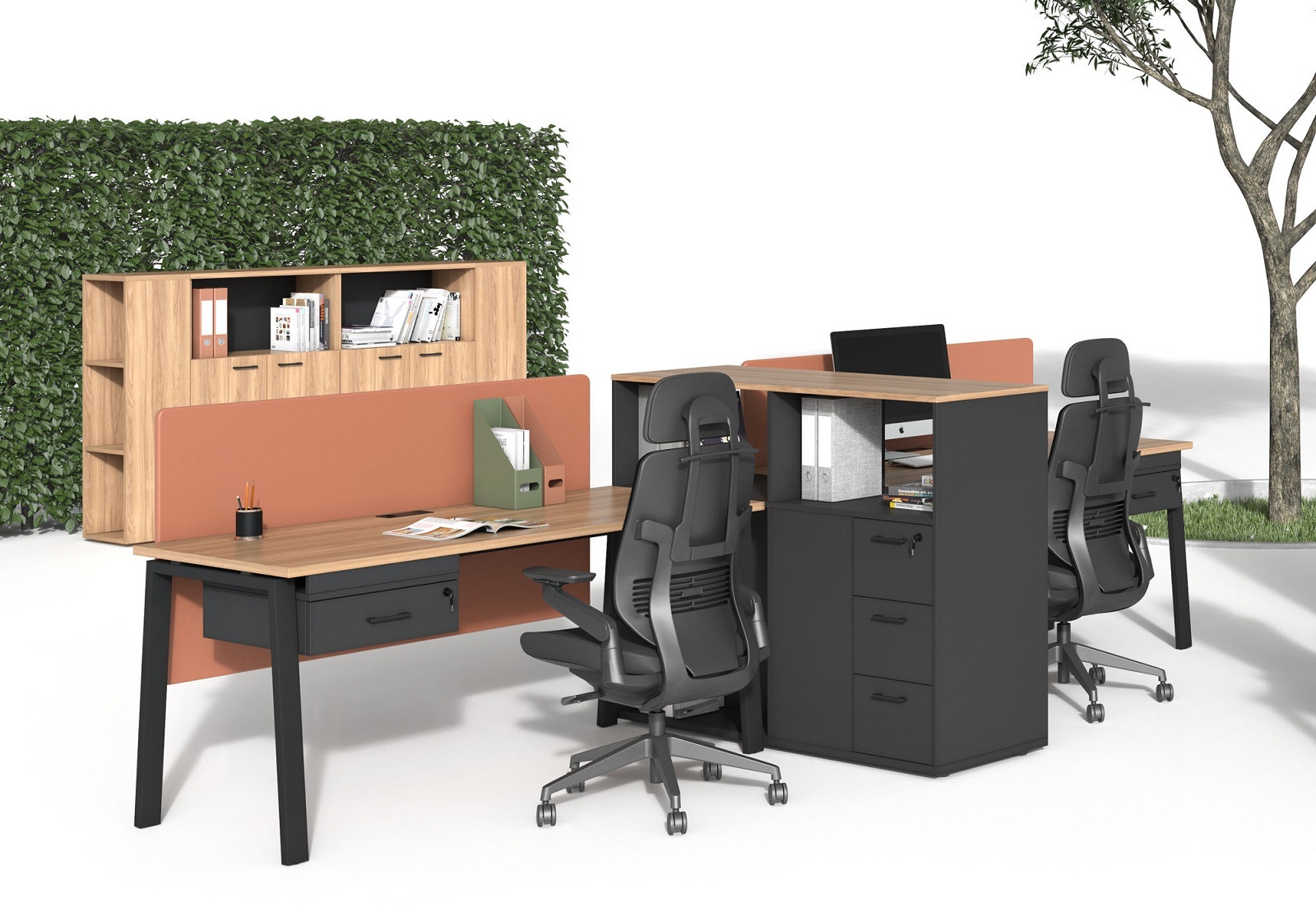 Мебель EVOLUTION