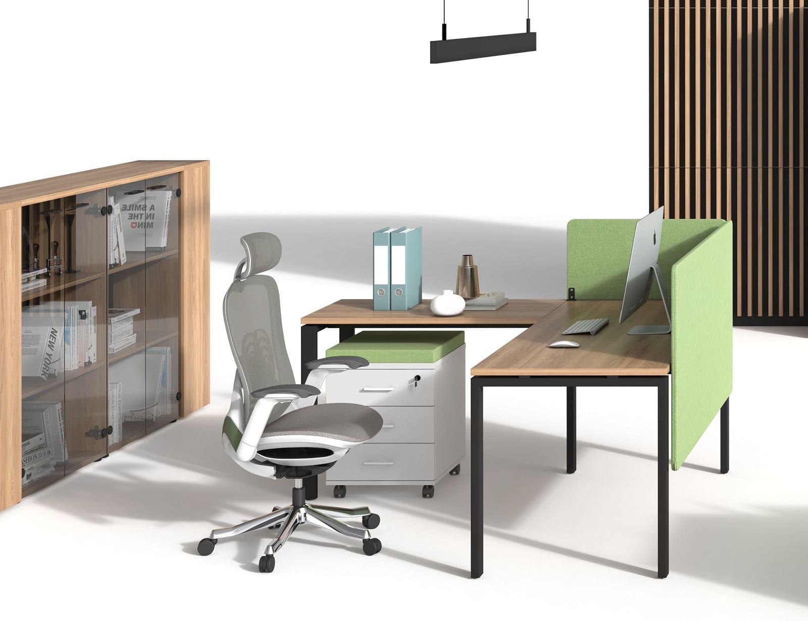 Мебель EVOLUTION