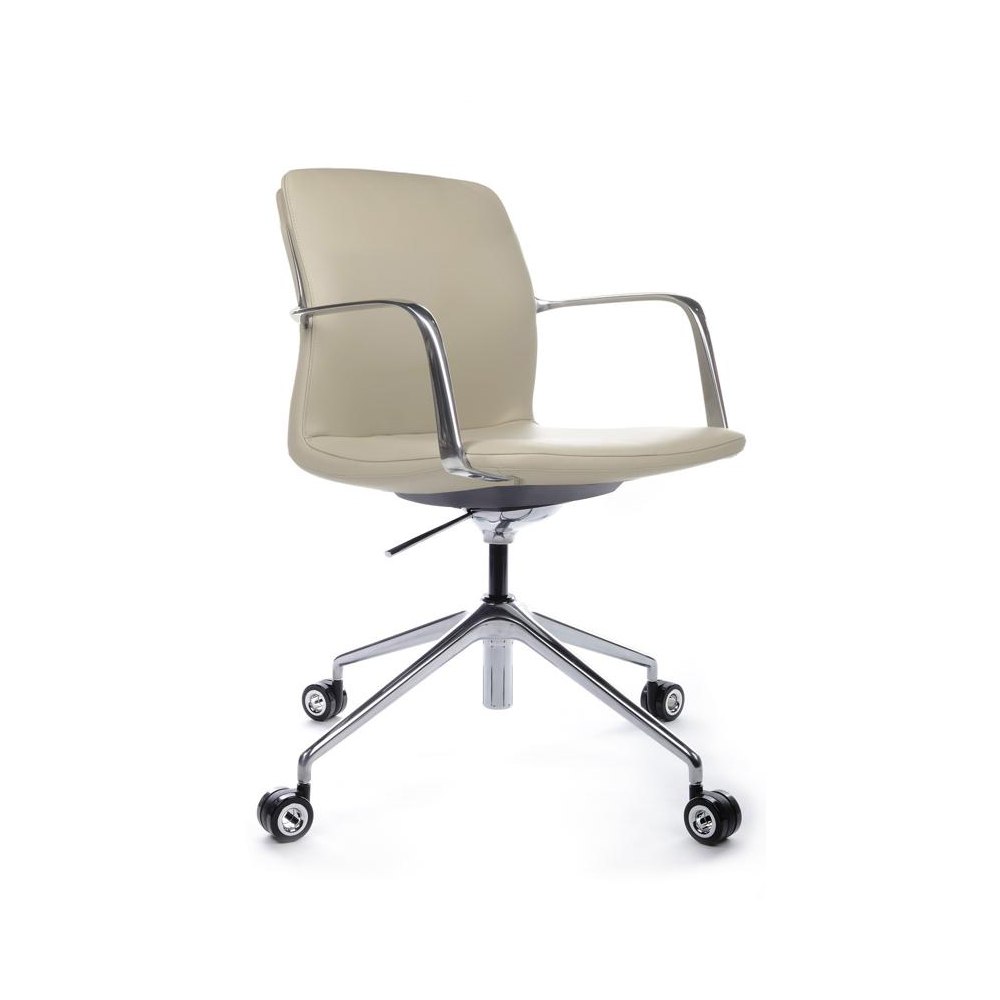 СВЕТЛО-СЕРЫЙ