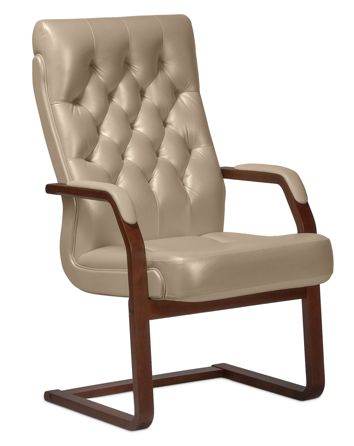 Кресло для посетителей Darwin C без подушки