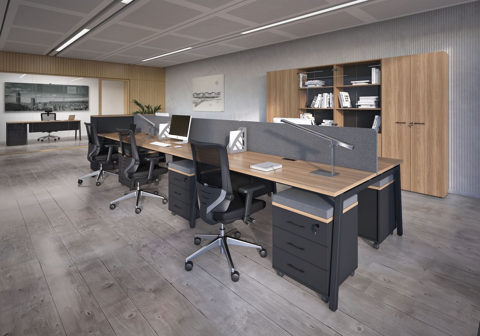 Мебель EVOLUTION