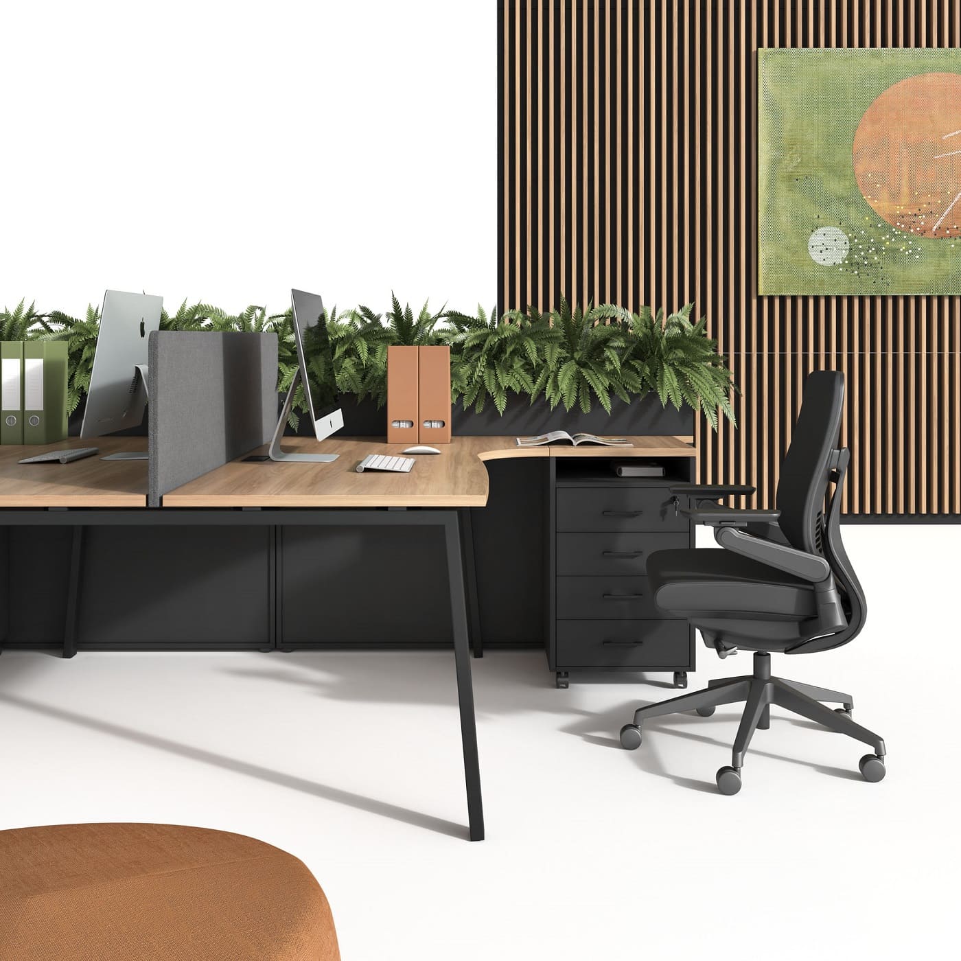 Мебель EVOLUTION