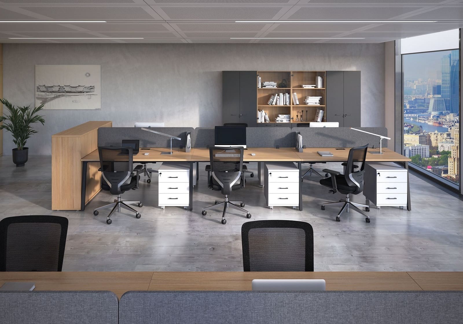 Мебель EVOLUTION