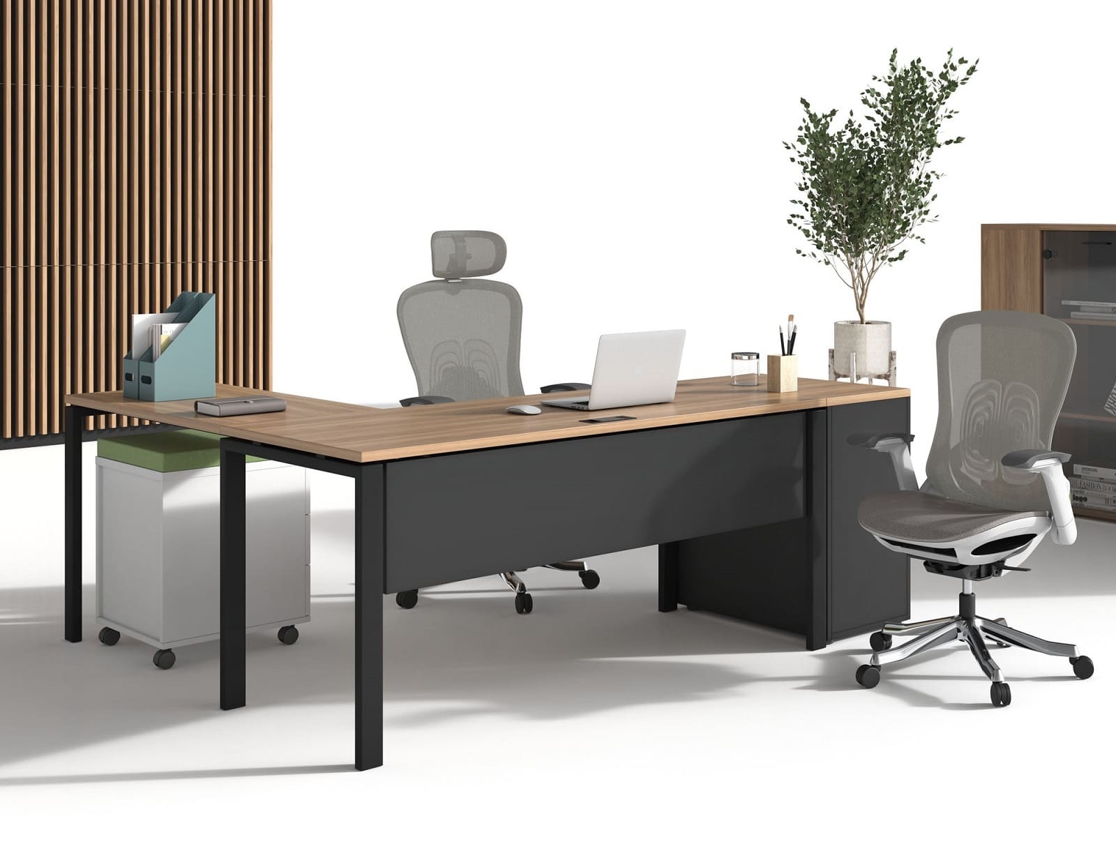 Мебель EVOLUTION