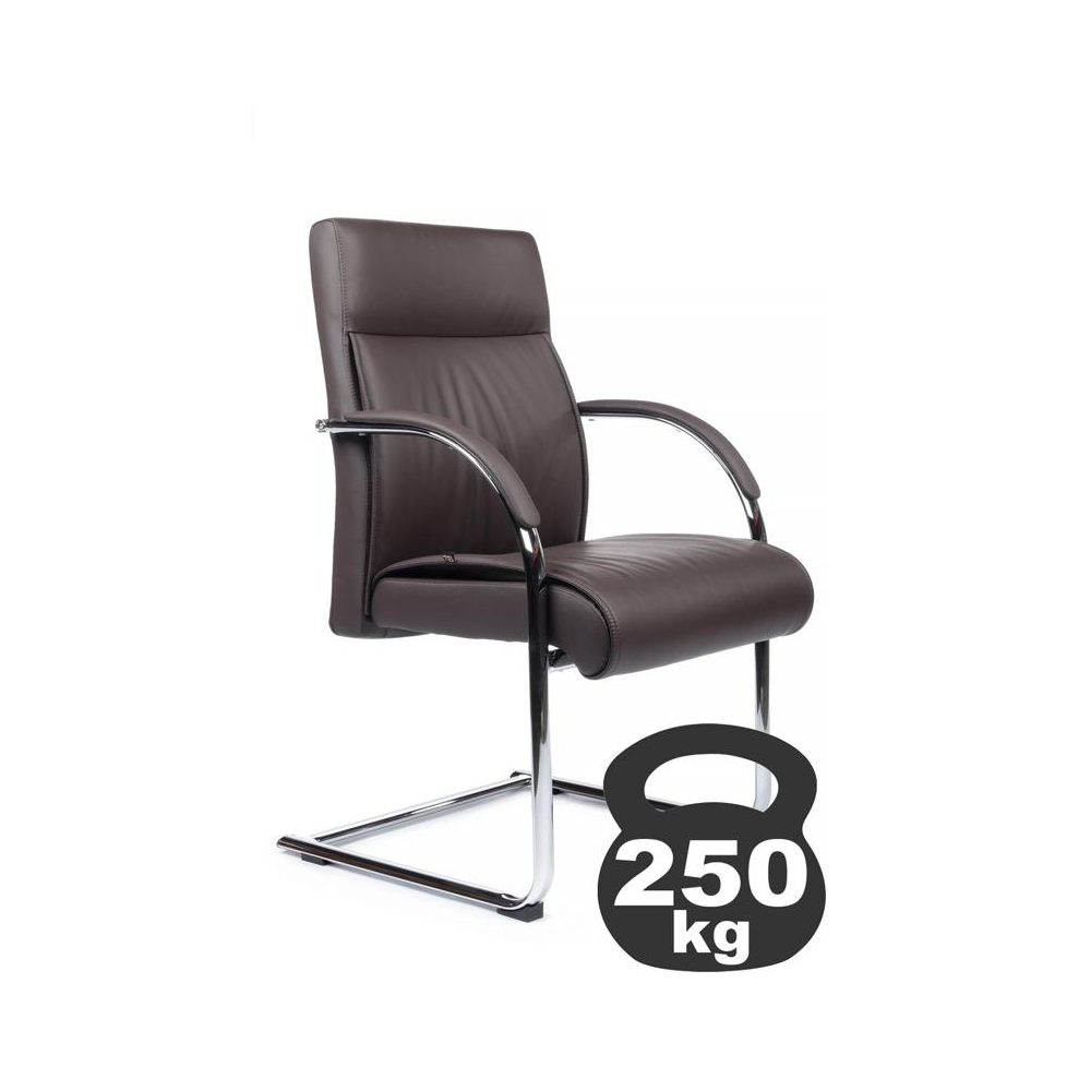 ТЕМНО-КОРИЧНЕВЫЙ