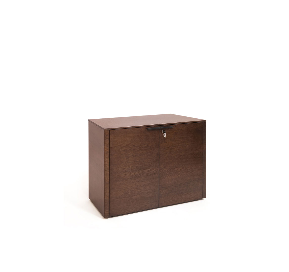 RAIL Греденция 2 двери*