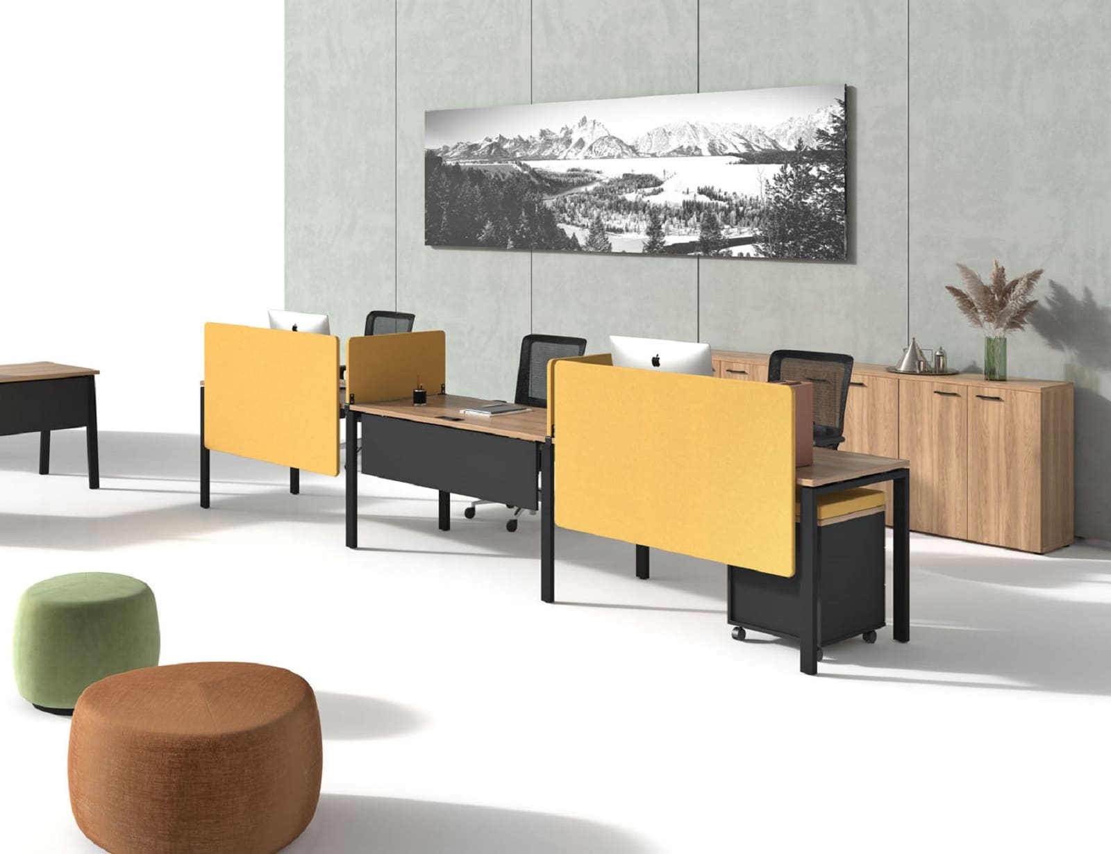 Мебель EVOLUTION