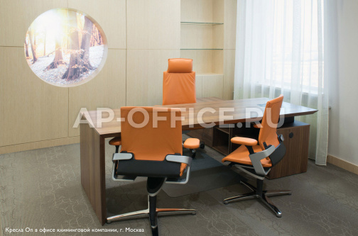 Эрогономичные кресла для руководителя и для офиса On