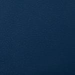 Blue-3019