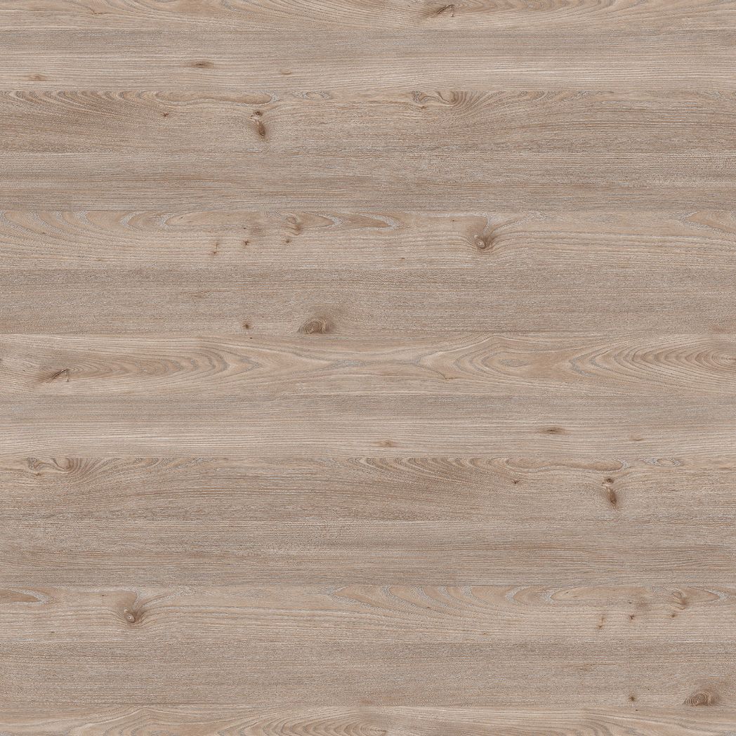 Дуб Тоскана