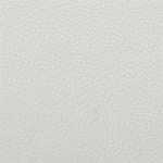 White-03