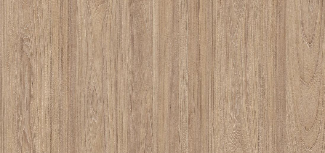 Акация равелло