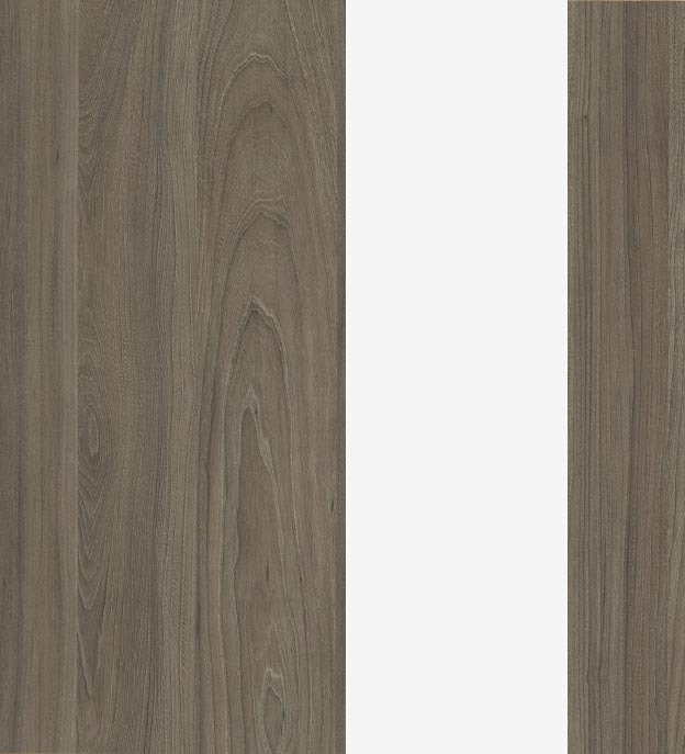 Вяз Благородный/Металл Белый